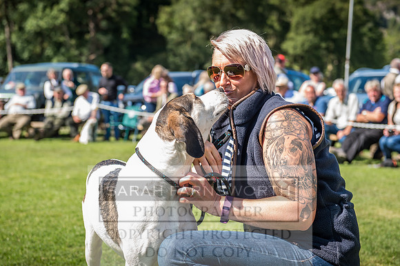 Rydal Hound Show 2017-42