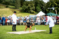 Rydal Hound Show 2017-14