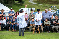 Rydal Hound Show 2017-20