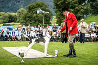 Rydal Hound Show 2017-13