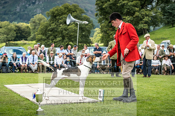 Rydal Hound Show 2017-13
