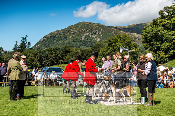 Rydal Hound Show 2017-33