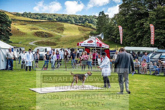 Rydal Hound Show 2017-22