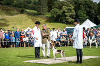 Rydal Hound Show 2017-17