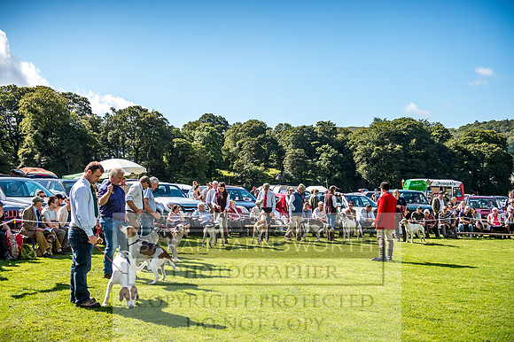 Rydal Hound Show 2017-24