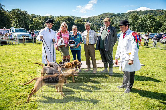 Rydal Hound Show 2017-38