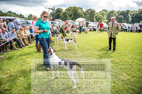 Rydal Hound Show 2017-54