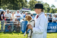 Rydal Hound Show 2017-2
