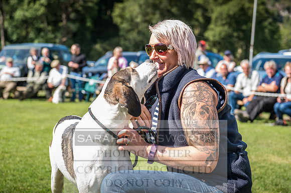 Rydal Hound Show 2017-43