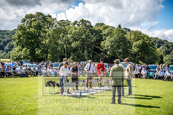 Rydal Hound Show 2017-51