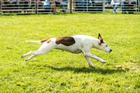 Rydal Hound Show 2017-10