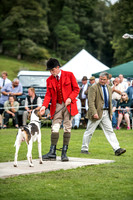 Rydal Hound Show 2017-16