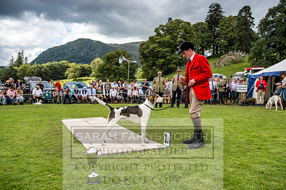 Rydal Hound Show 2017-59