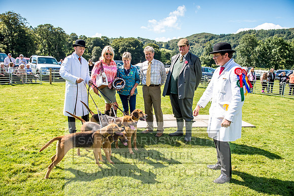 Rydal Hound Show 2017-39