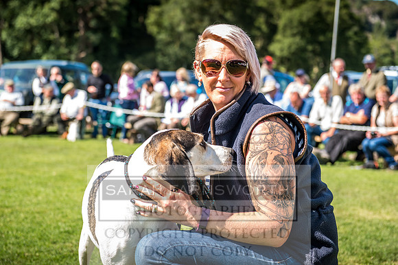 Rydal Hound Show 2017-41