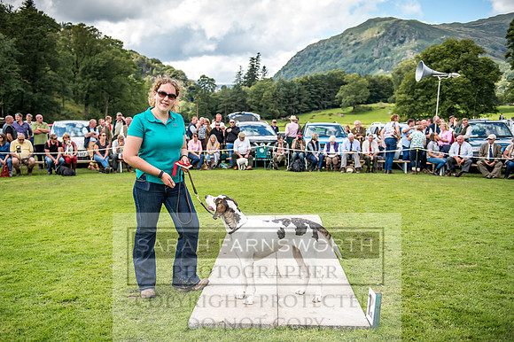 Rydal Hound Show 2017-56
