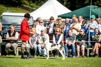 Rydal Hound Show 2017-19