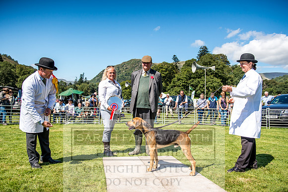 Rydal Hound Show 2017-46