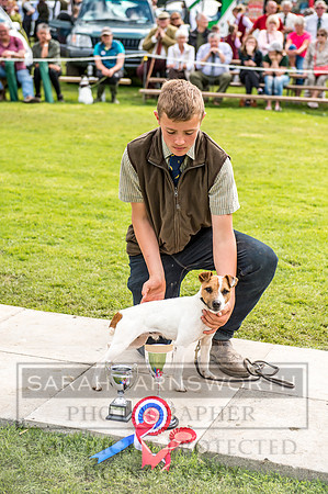 Rydal Hound Show 2017-61