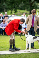 Rydal Hound Show 2017-12
