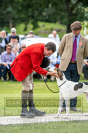 Rydal Hound Show 2017-12