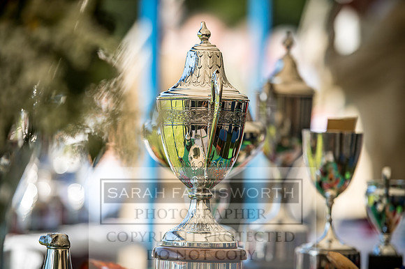 Rydal Hound Show 2017-3