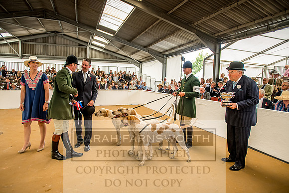 PFoH 2018-364
