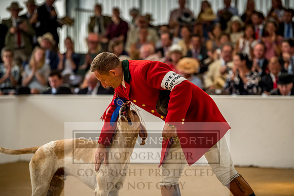 PFoH 2018-454