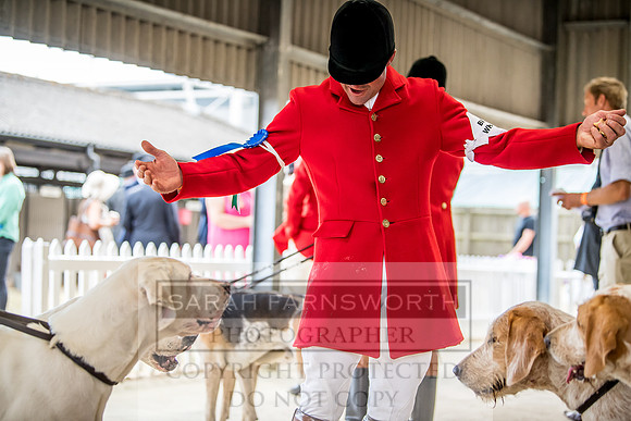PFoH 2018-268
