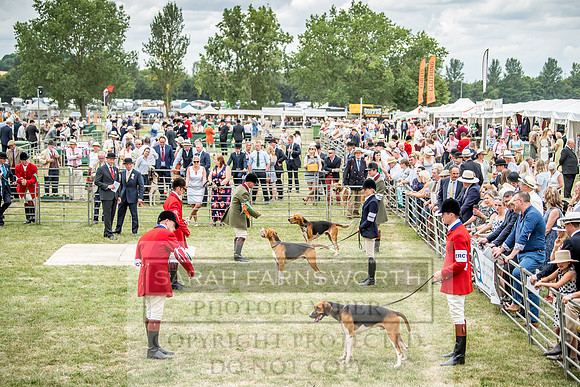 PFoH 2018-377