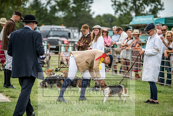 PFoH 2018-634