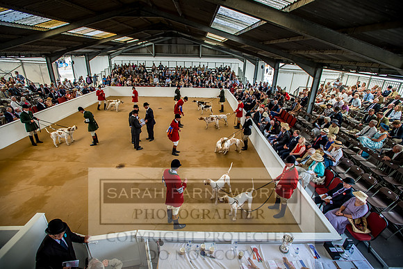 PFoH 2018-682