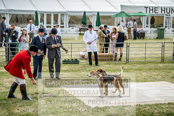 PFoH 2018-146