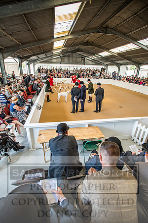 PFoH 2018-240