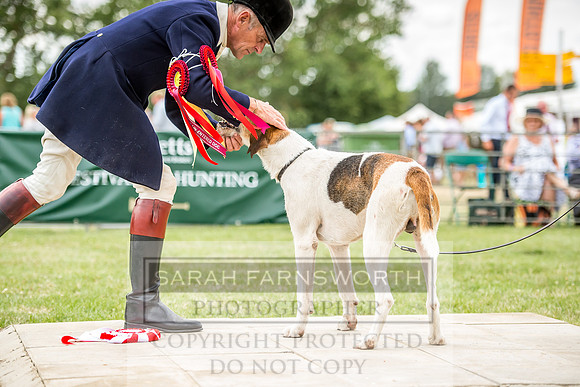 PFoH 2018-668