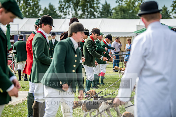 PFoH 2018-85