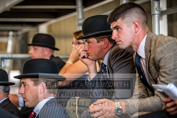 PFoH 2018-239