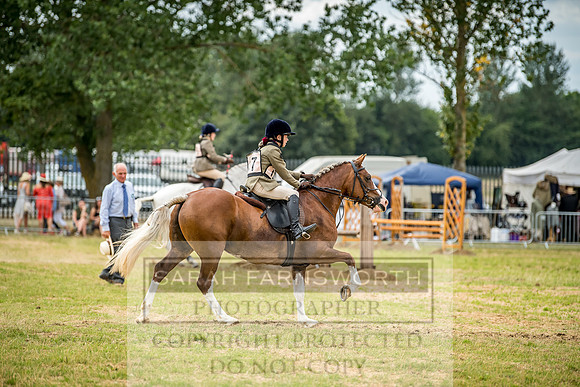 PFoH 2018-713