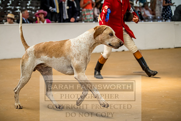 PFoH 2018-484