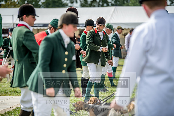 PFoH 2018-84