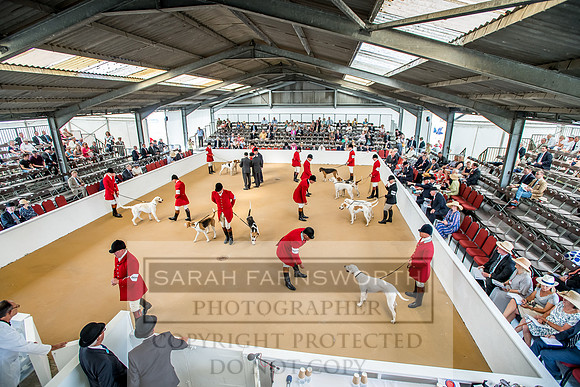 PFoH 2018-108