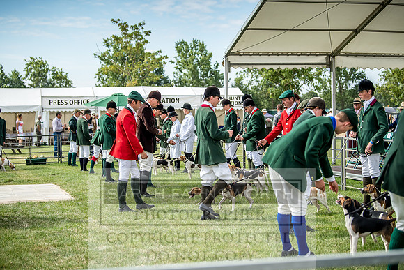 PFoH 2018-82