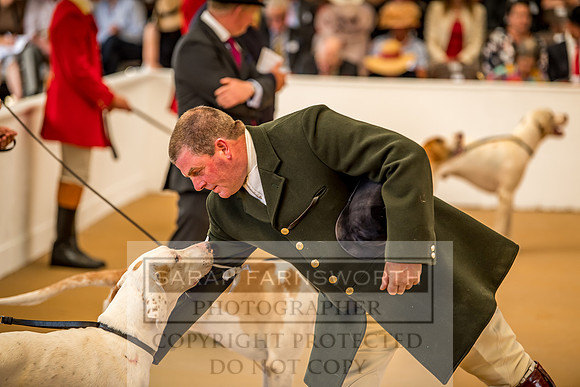 PFoH 2018-255