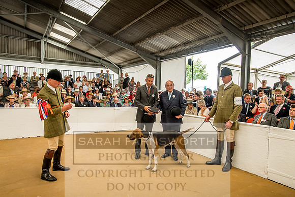 PFoH 2018-425