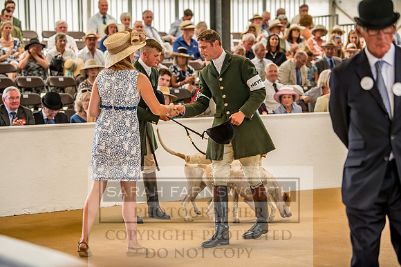 PFoH 2018-692