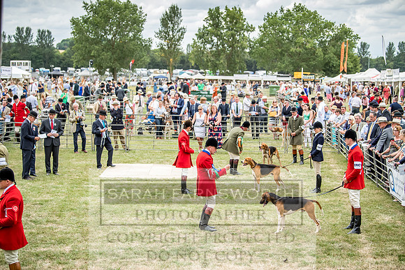 PFoH 2018-381