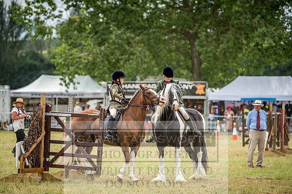 PFoH 2018-722