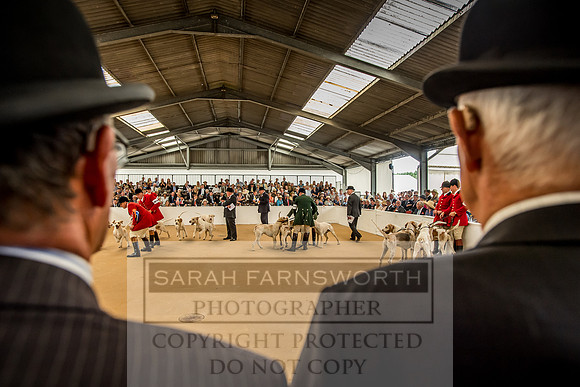 PFoH 2018-351