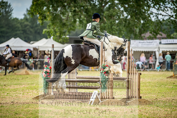 PFoH 2018-724