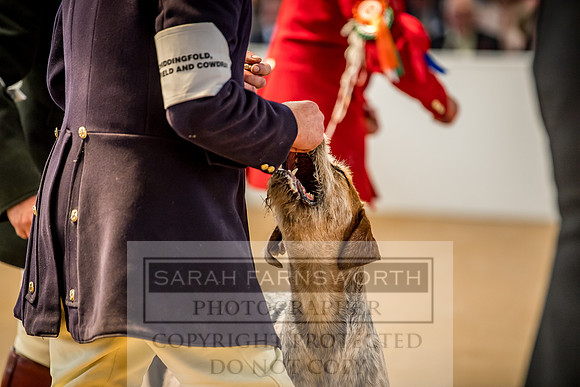 PFoH 2018-444